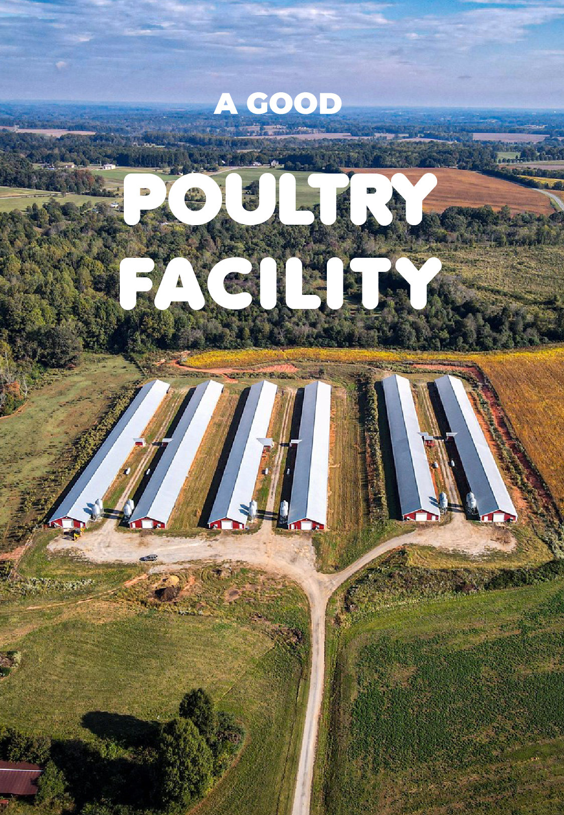 A good poultry facility (Large scale)